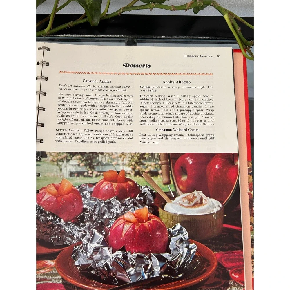Betty Crocker New Outdoor Cookbook Barbecues Vintage Spiral Bound 1961 First Ed